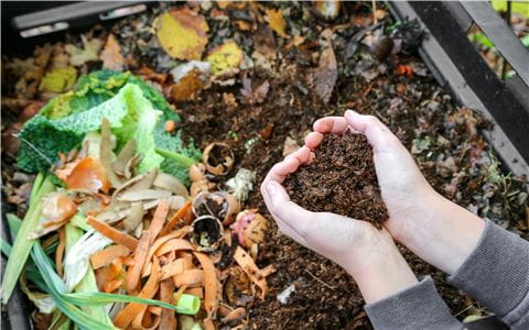 kompostieren