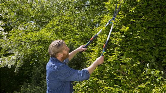 A man cutting a high hedge with a Gardena Hedge Clipper with telescopic handles