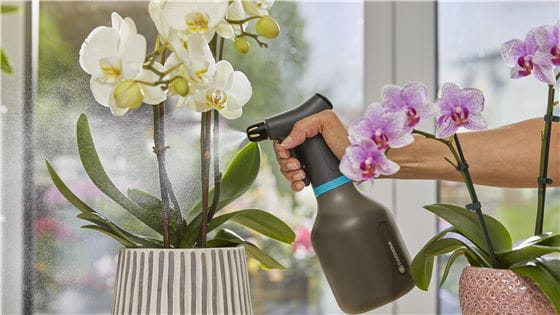 A gardena Pump sprayer watering an Orchid