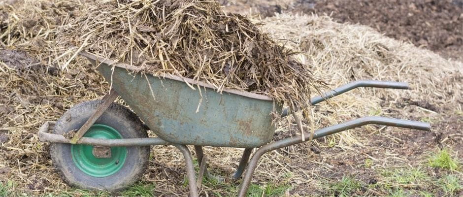 5 easy ways to save time and money with the right plant fertiliser - 3