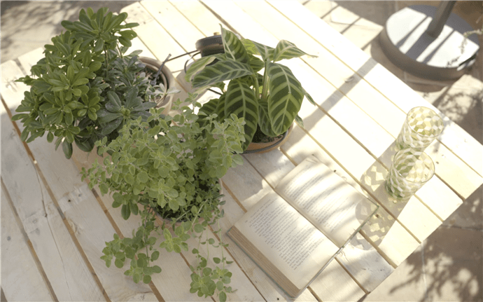 0-fabriquer-table-basse-palettes-vegetalisee-gardena
