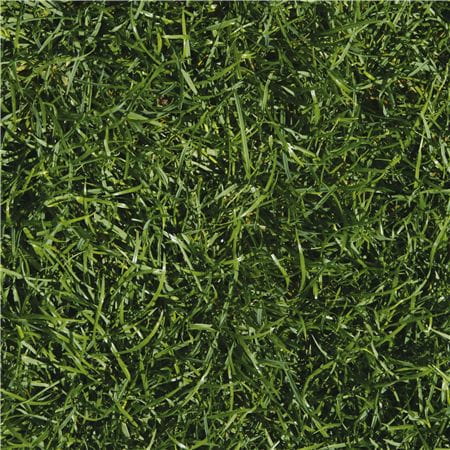 Grass-E-043