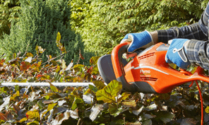 hedge trimmer how-to homepage
