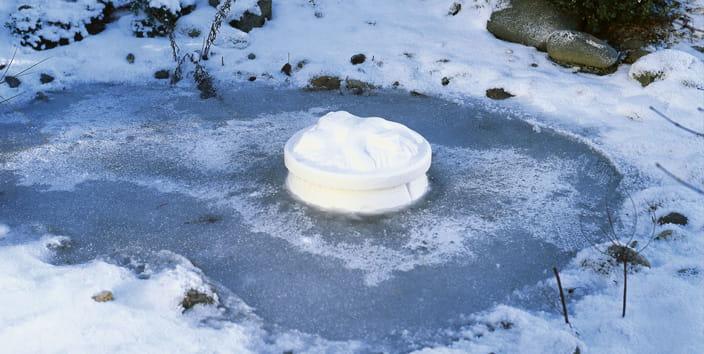 Frozen Pond